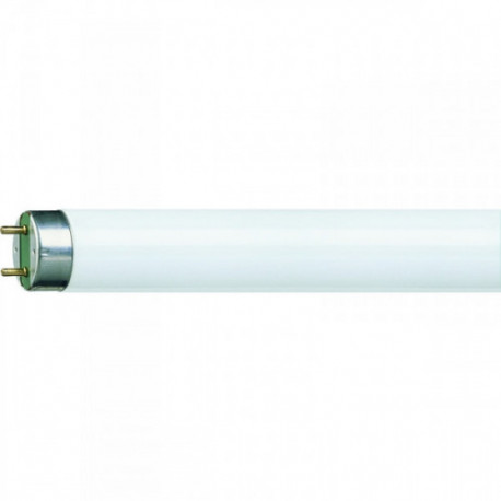 Лампа люминесцентная Philips TL-D 36 Вт цоколь G13 25 штук в упаковке белый свет